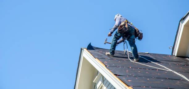 Roof Gutter Cleaning in Lake Kiowa, TX